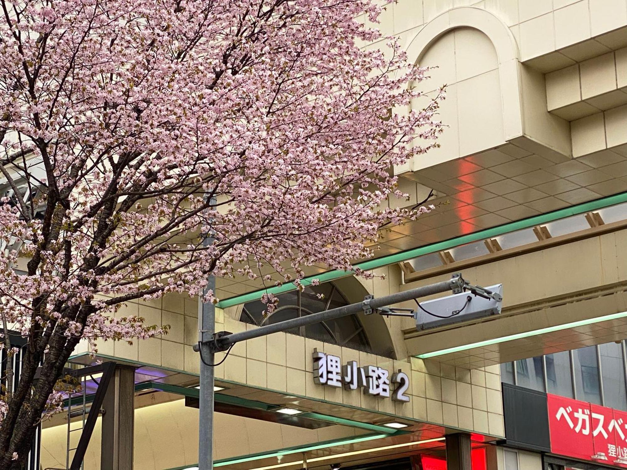 Mercure Sapporo Hotel Exterior photo